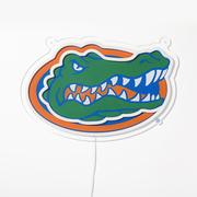 Florida Saturday Neon LED Neon Sign